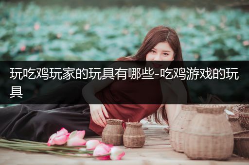 玩吃鸡玩家的玩具有哪些-吃鸡游戏的玩具