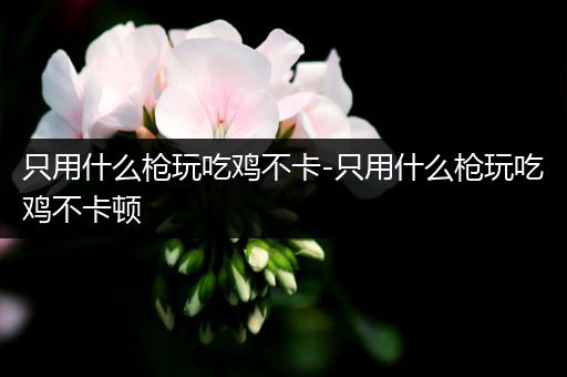只用什么枪玩吃鸡不卡-只用什么枪玩吃鸡不卡顿