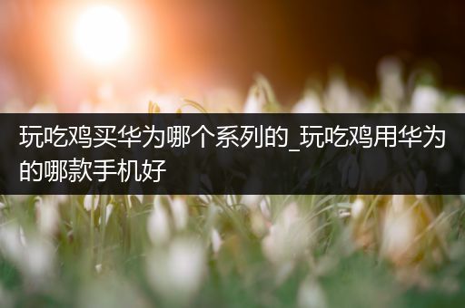 玩吃鸡买华为哪个系列的_玩吃鸡用华为的哪款手机好