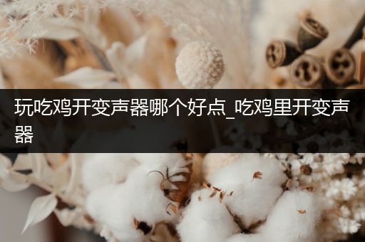玩吃鸡开变声器哪个好点_吃鸡里开变声器