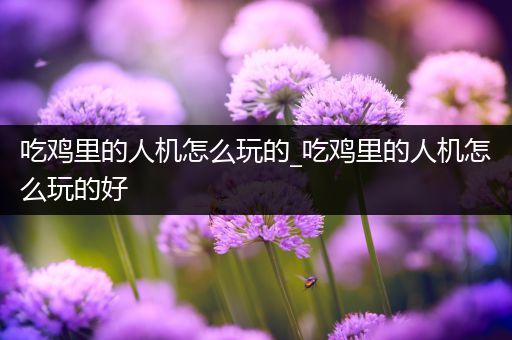 吃鸡里的人机怎么玩的_吃鸡里的人机怎么玩的好