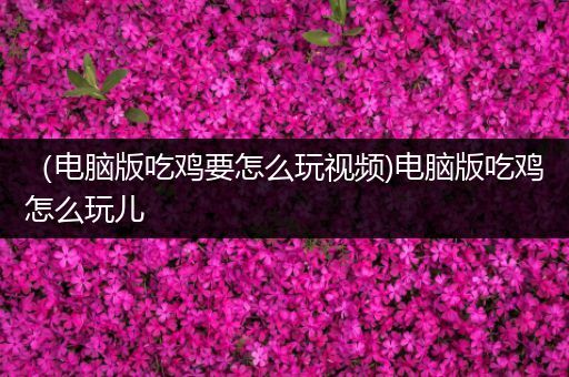 （电脑版吃鸡要怎么玩视频)电脑版吃鸡怎么玩儿