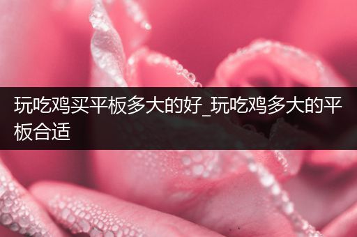 玩吃鸡买平板多大的好_玩吃鸡多大的平板合适