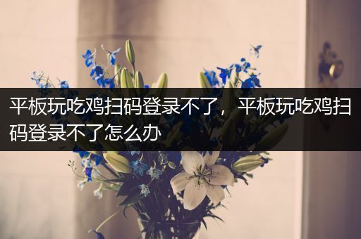 平板玩吃鸡扫码登录不了，平板玩吃鸡扫码登录不了怎么办