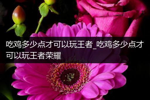 吃鸡多少点才可以玩王者_吃鸡多少点才可以玩王者荣耀