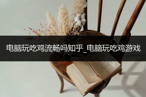 电脑玩吃鸡流畅吗知乎_电脑玩吃鸡游戏