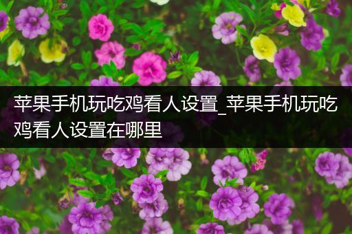 苹果手机玩吃鸡看人设置_苹果手机玩吃鸡看人设置在哪里