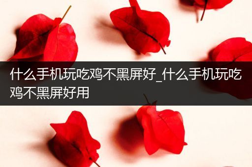 什么手机玩吃鸡不黑屏好_什么手机玩吃鸡不黑屏好用
