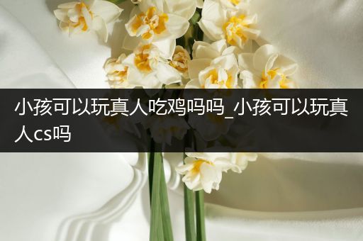 小孩可以玩真人吃鸡吗吗_小孩可以玩真人cs吗