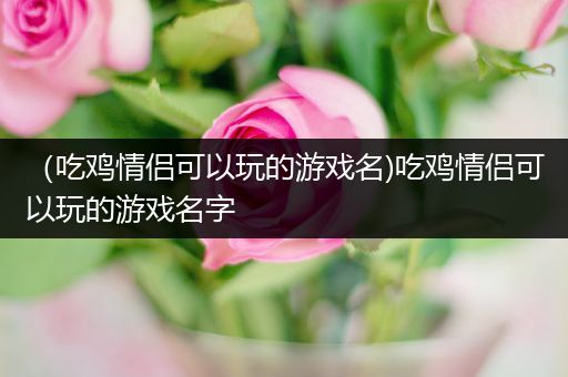 （吃鸡情侣可以玩的游戏名)吃鸡情侣可以玩的游戏名字