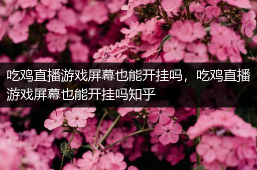吃鸡直播游戏屏幕也能开挂吗，吃鸡直播游戏屏幕也能开挂吗知乎