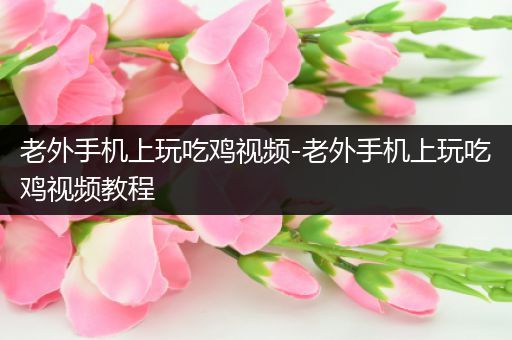 老外手机上玩吃鸡视频-老外手机上玩吃鸡视频教程