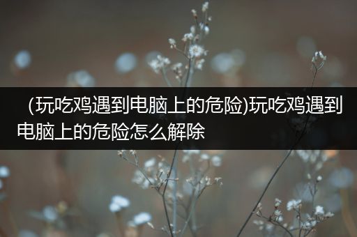 （玩吃鸡遇到电脑上的危险)玩吃鸡遇到电脑上的危险怎么解除