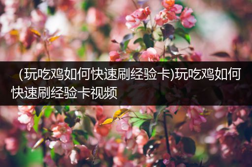 （玩吃鸡如何快速刷经验卡)玩吃鸡如何快速刷经验卡视频
