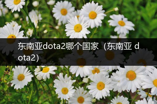 东南亚dota2哪个国家（东南亚 dota2）