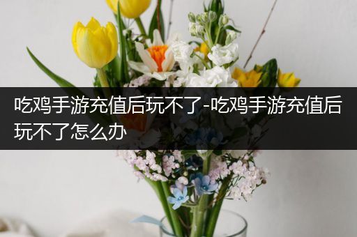 吃鸡手游充值后玩不了-吃鸡手游充值后玩不了怎么办
