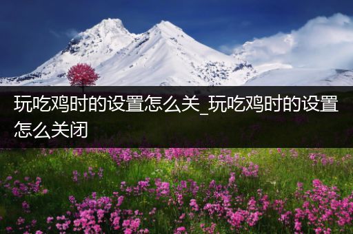 玩吃鸡时的设置怎么关_玩吃鸡时的设置怎么关闭