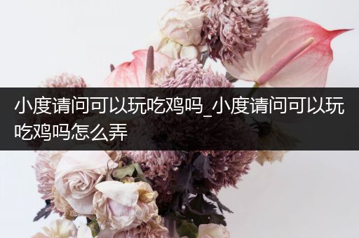 小度请问可以玩吃鸡吗_小度请问可以玩吃鸡吗怎么弄