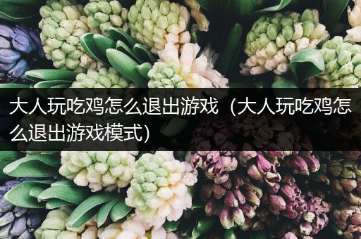 大人玩吃鸡怎么退出游戏（大人玩吃鸡怎么退出游戏模式）