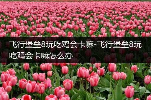 飞行堡垒8玩吃鸡会卡嘛-飞行堡垒8玩吃鸡会卡嘛怎么办
