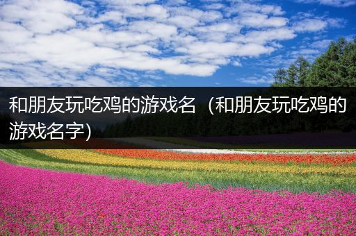 和朋友玩吃鸡的游戏名（和朋友玩吃鸡的游戏名字）