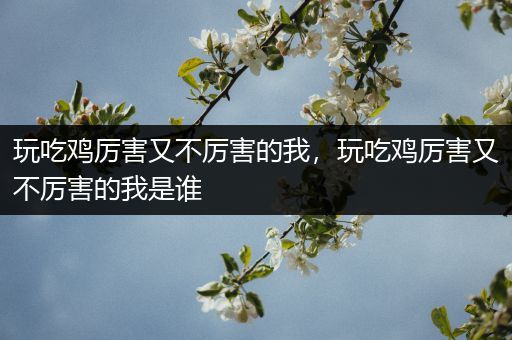 玩吃鸡厉害又不厉害的我，玩吃鸡厉害又不厉害的我是谁