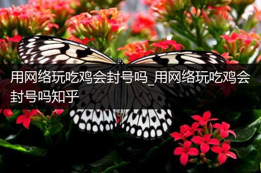 用网络玩吃鸡会封号吗_用网络玩吃鸡会封号吗知乎