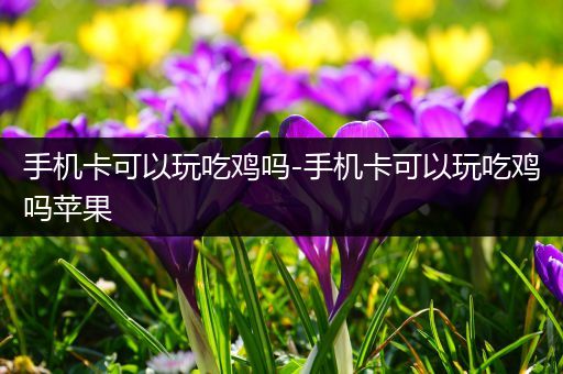 手机卡可以玩吃鸡吗-手机卡可以玩吃鸡吗苹果