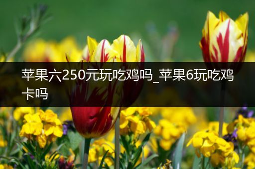 苹果六250元玩吃鸡吗_苹果6玩吃鸡卡吗