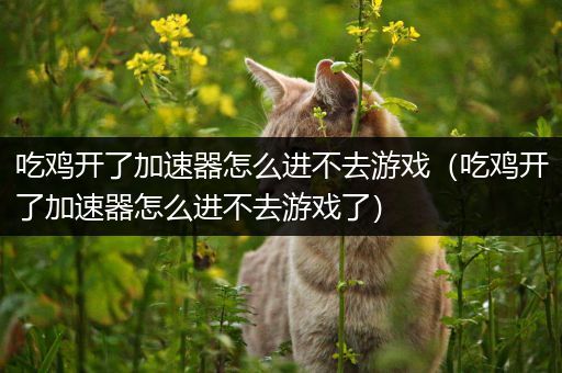 吃鸡开了加速器怎么进不去游戏（吃鸡开了加速器怎么进不去游戏了）