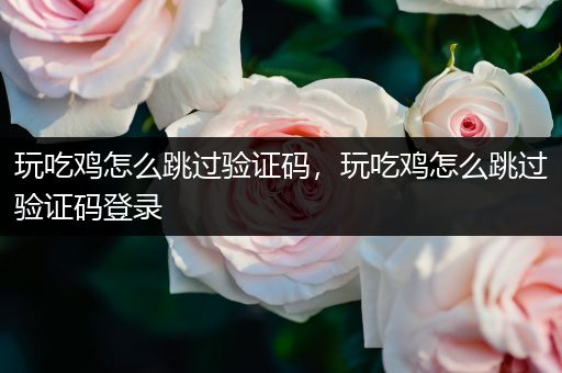 玩吃鸡怎么跳过验证码，玩吃鸡怎么跳过验证码登录