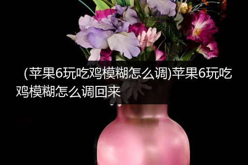 （苹果6玩吃鸡模糊怎么调)苹果6玩吃鸡模糊怎么调回来