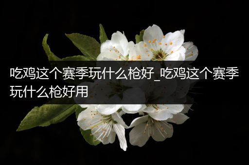 吃鸡这个赛季玩什么枪好_吃鸡这个赛季玩什么枪好用
