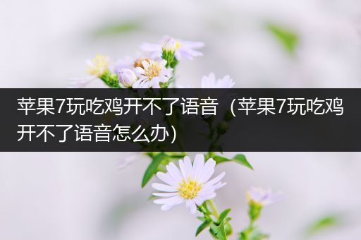 苹果7玩吃鸡开不了语音（苹果7玩吃鸡开不了语音怎么办）