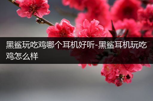 黑鲨玩吃鸡哪个耳机好听-黑鲨耳机玩吃鸡怎么样