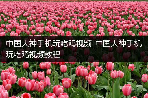 中国大神手机玩吃鸡视频-中国大神手机玩吃鸡视频教程