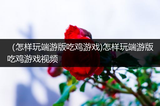 （怎样玩端游版吃鸡游戏)怎样玩端游版吃鸡游戏视频