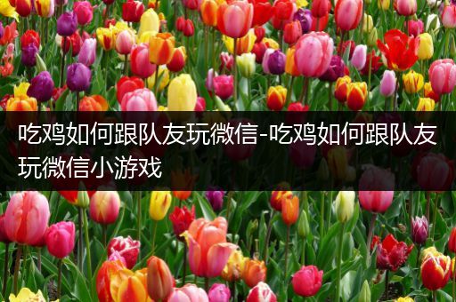 吃鸡如何跟队友玩微信-吃鸡如何跟队友玩微信小游戏