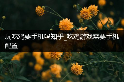 玩吃鸡要手机吗知乎_吃鸡游戏需要手机配置