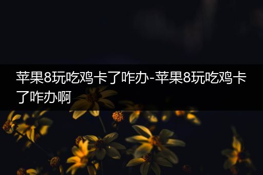 苹果8玩吃鸡卡了咋办-苹果8玩吃鸡卡了咋办啊