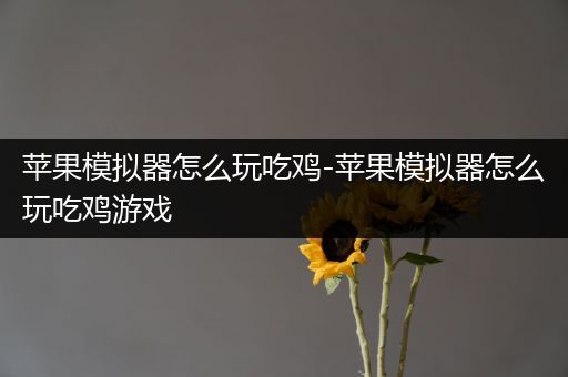 苹果模拟器怎么玩吃鸡-苹果模拟器怎么玩吃鸡游戏