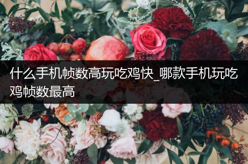 什么手机帧数高玩吃鸡快_哪款手机玩吃鸡帧数最高