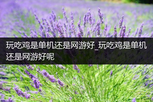 玩吃鸡是单机还是网游好_玩吃鸡是单机还是网游好呢