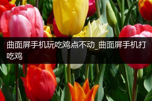 曲面屏手机玩吃鸡点不动_曲面屏手机打吃鸡