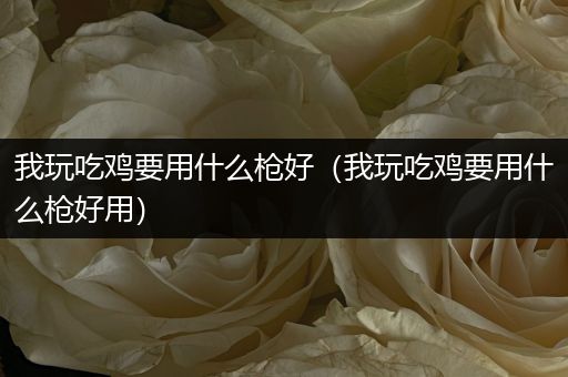 我玩吃鸡要用什么枪好（我玩吃鸡要用什么枪好用）