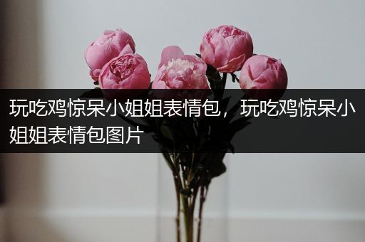 玩吃鸡惊呆小姐姐表情包，玩吃鸡惊呆小姐姐表情包图片