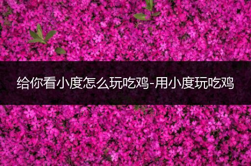 给你看小度怎么玩吃鸡-用小度玩吃鸡
