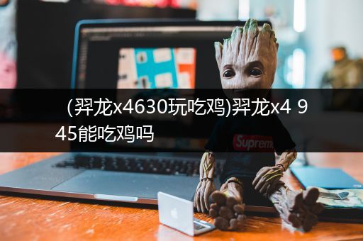 （羿龙x4630玩吃鸡)羿龙x4 945能吃鸡吗