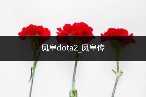 凤皇dota2_凤皇传