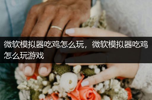 微软模拟器吃鸡怎么玩，微软模拟器吃鸡怎么玩游戏